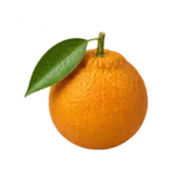 Bitterorange