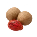 Muskatnuss