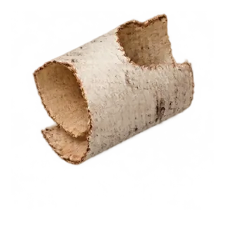 Birke