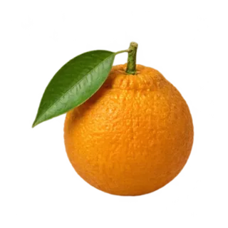 Bitterorange