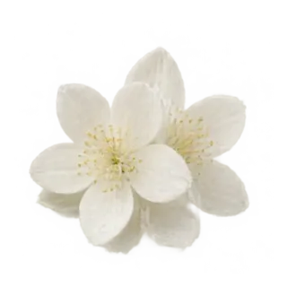 Hedion