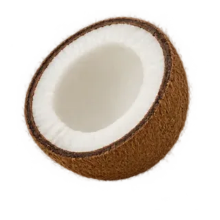 Kokos