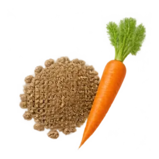 Möhrensamen