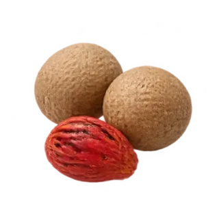 Muskatnuss