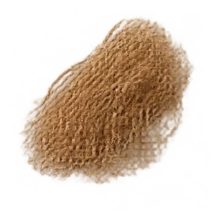 Vetiver