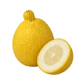 Zitronatzitrone