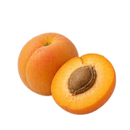 Aprikose