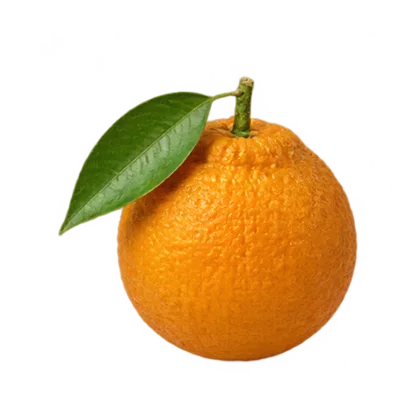 Bitterorange