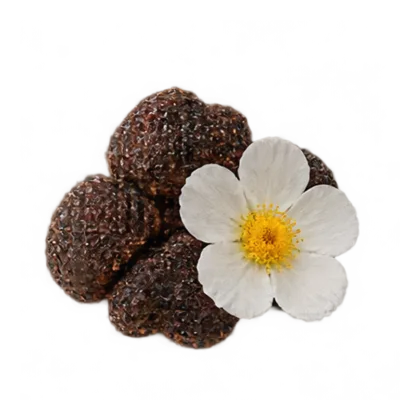 Labdanum
