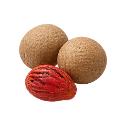 Muskatnuss