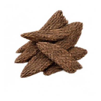 Oud