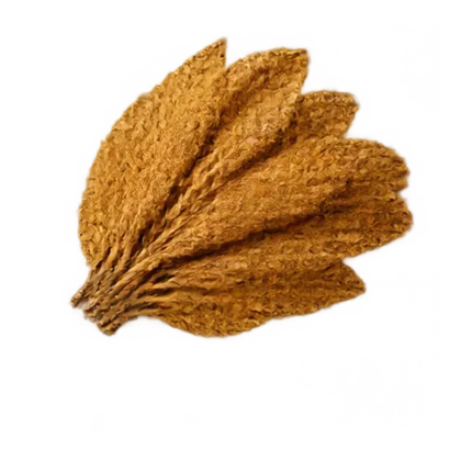 Tabak