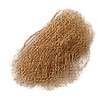 Vetiver