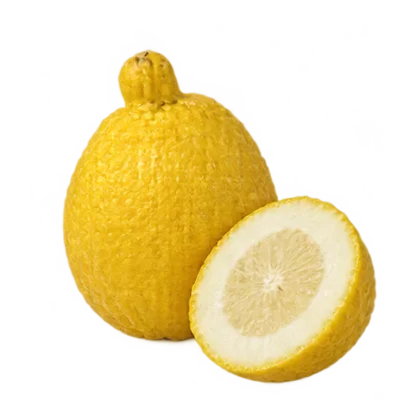 Zitronatzitrone